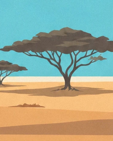 An acacia with spreading foliage and its shadow on the ochre savannah ground