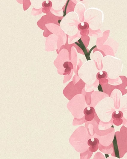 Une cascade d’orchidées roses et blanches au cœur pourpre sur fond crème