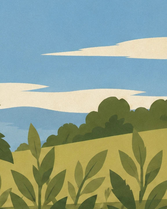 The plant's leaves in front of an olive green hill, beneath a blue sky with cream clouds
