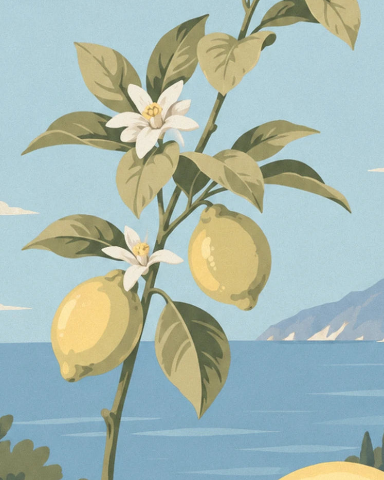 A lemon branch with 2 yellow lemons and white blossom, facing the sea