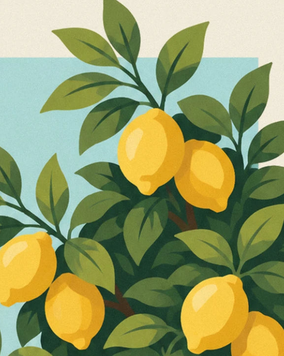 The ripe yellow lemons among dark green leaves in front of a patch of blue sky