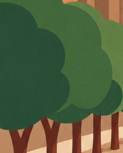The trees along the quay, with rounded green foliage and brown trunks