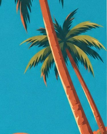 Les troncs orangés des palmiers et leurs palmes vertes sur le ciel turquoise