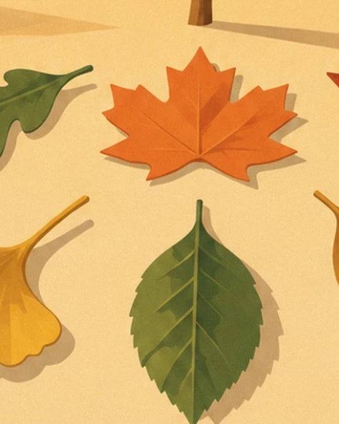 Une feuille d’érable orange et une feuille verte dentelée sur un fond jaune doré