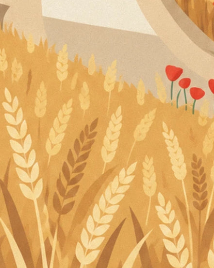 Des coquelicots rouges qui dépassent des épis de blé, au bord du chemin beige
