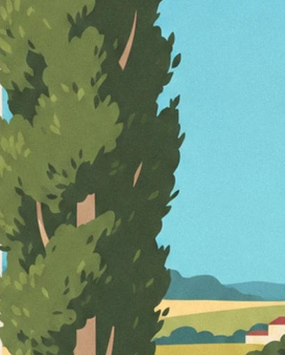 Le feuillage vert dense du peuplier et son tronc rosé sur fond de ciel bleu