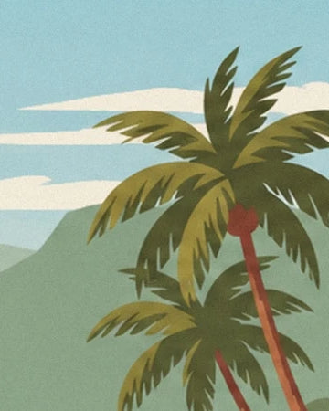 Les palmiers aux feuilles vert olive devant les montagnes et le ciel bleu d'Oahu