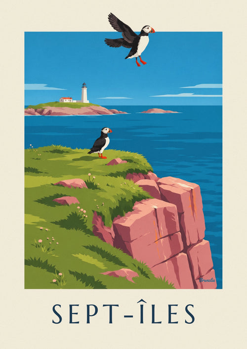 Poster of puffins on the cliffs of the Sept-Îles: the full poster