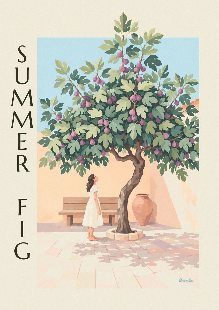 Poster Feigenbaum voller violetter Feigen in einem Steinhof