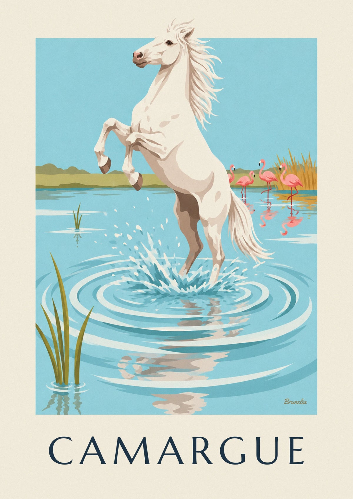 White horse galloping through water in Camargue poster