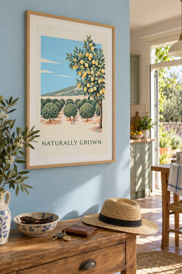 Poster of an organic terraced lemon grove by the sea: framed on the wall