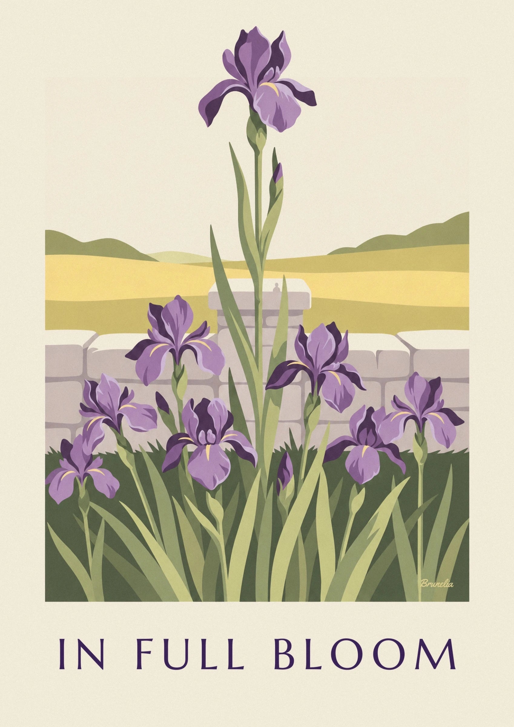 A purple iris with unfurled petals and yellow touches, on its green stem