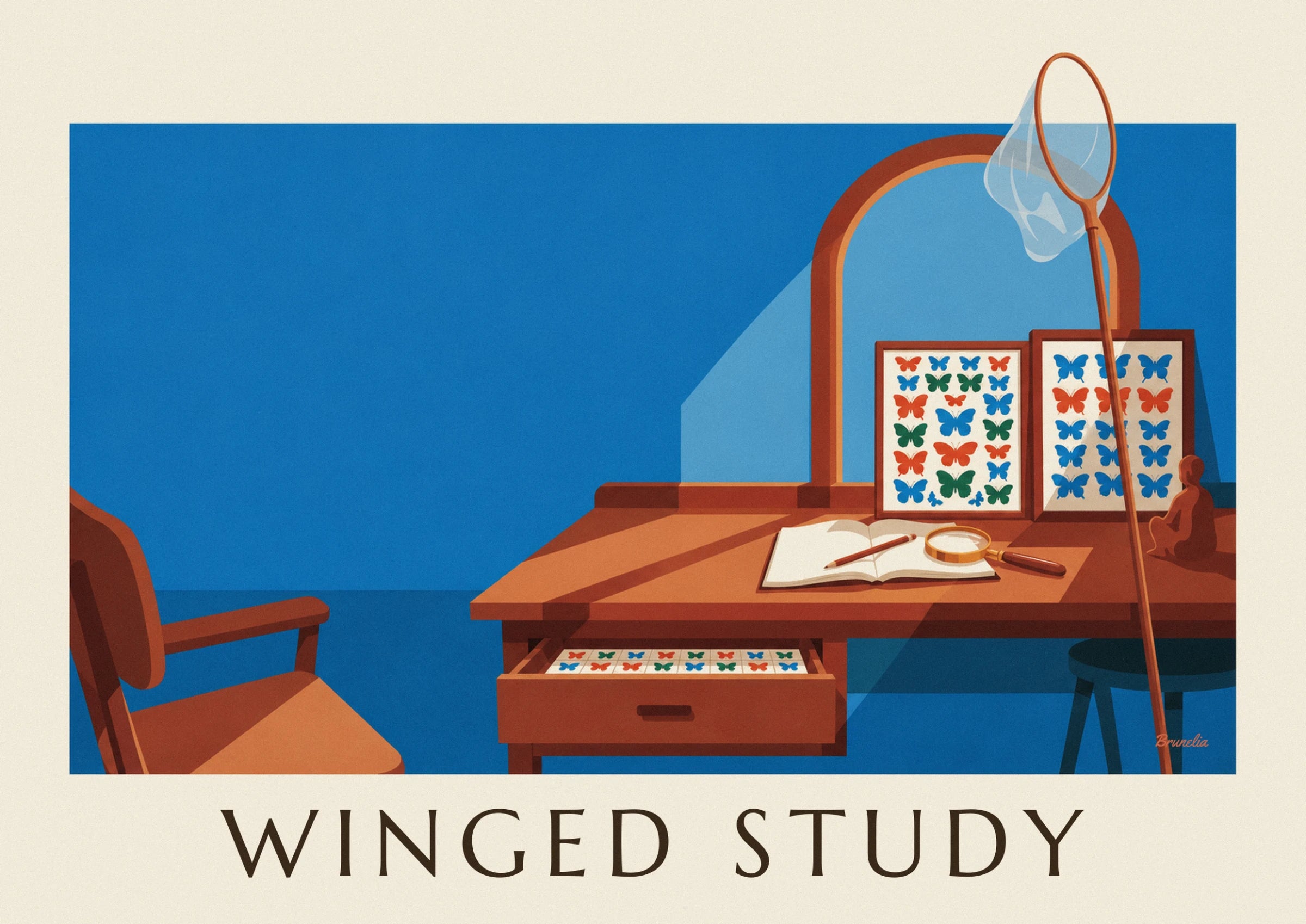 The framed displays of colourful butterflies, magnifying glass and notebook on the desk