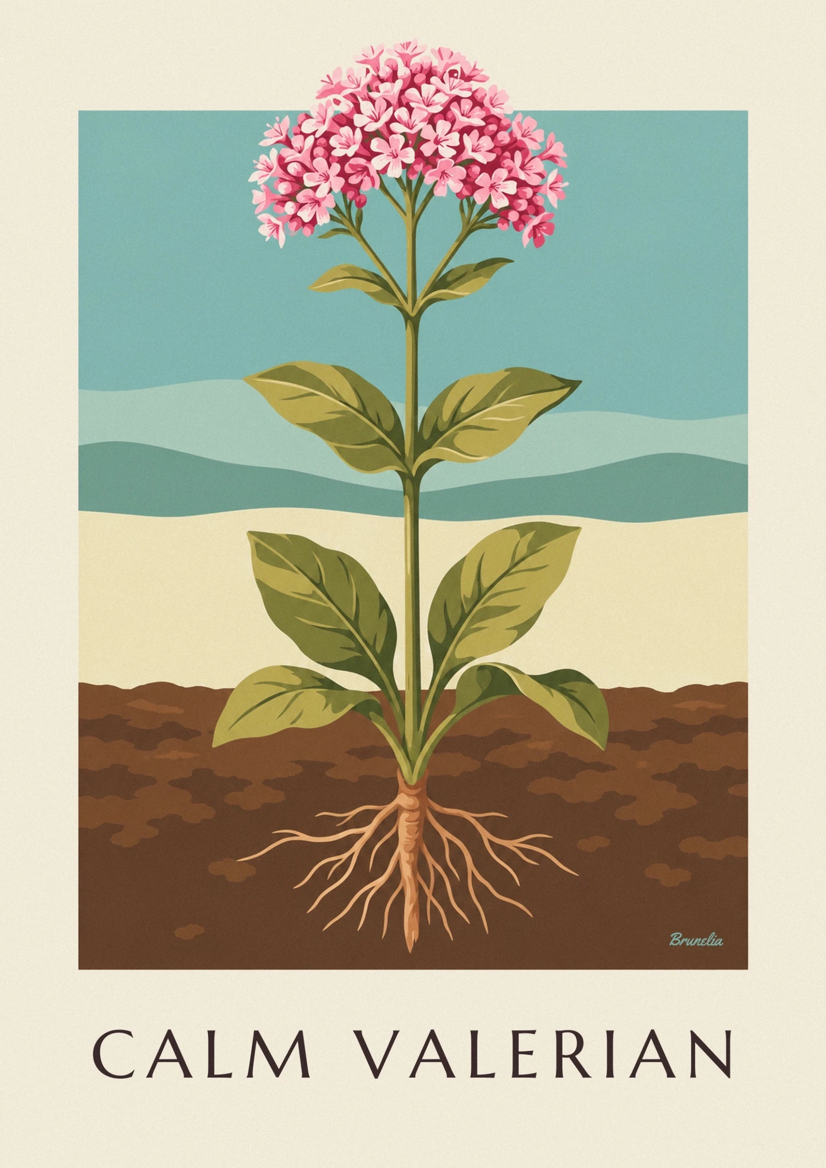 Les bouquets de fleurs roses de valériane au sommet des tiges feuillues