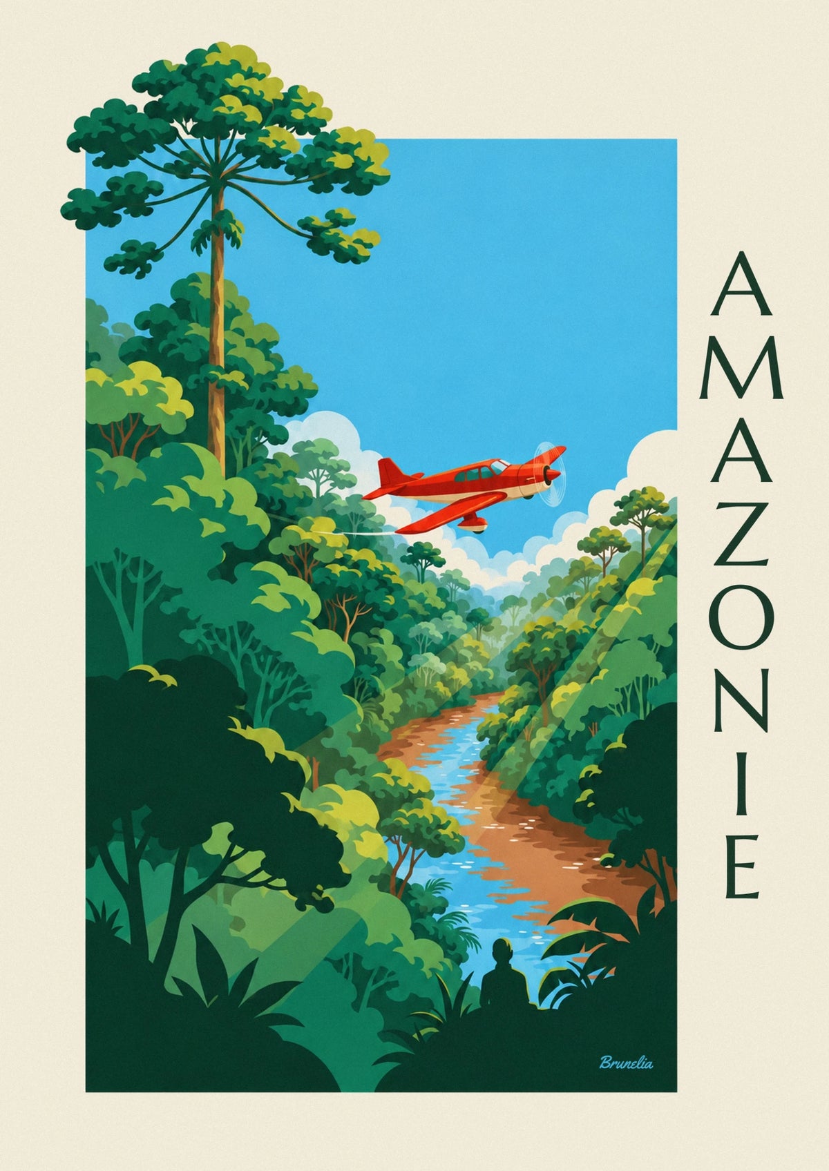 Propeller plane over the Amazon rainforest poster